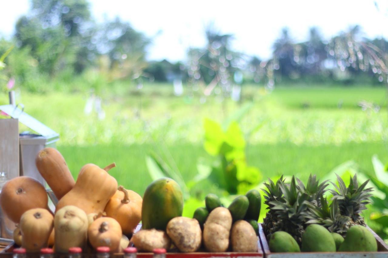 Nauna Villa Ubud Buitenkant foto