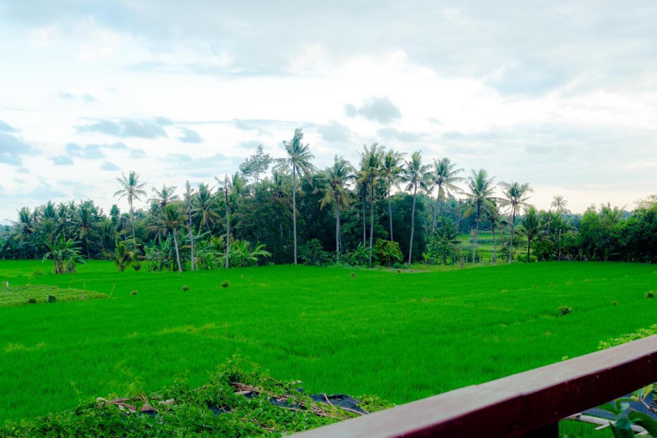 Nauna Villa Ubud Buitenkant foto