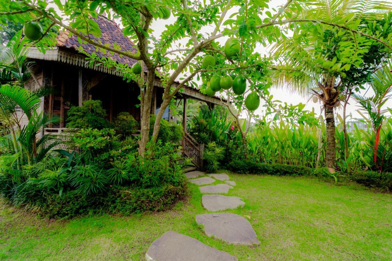 Nauna Villa Ubud Buitenkant foto