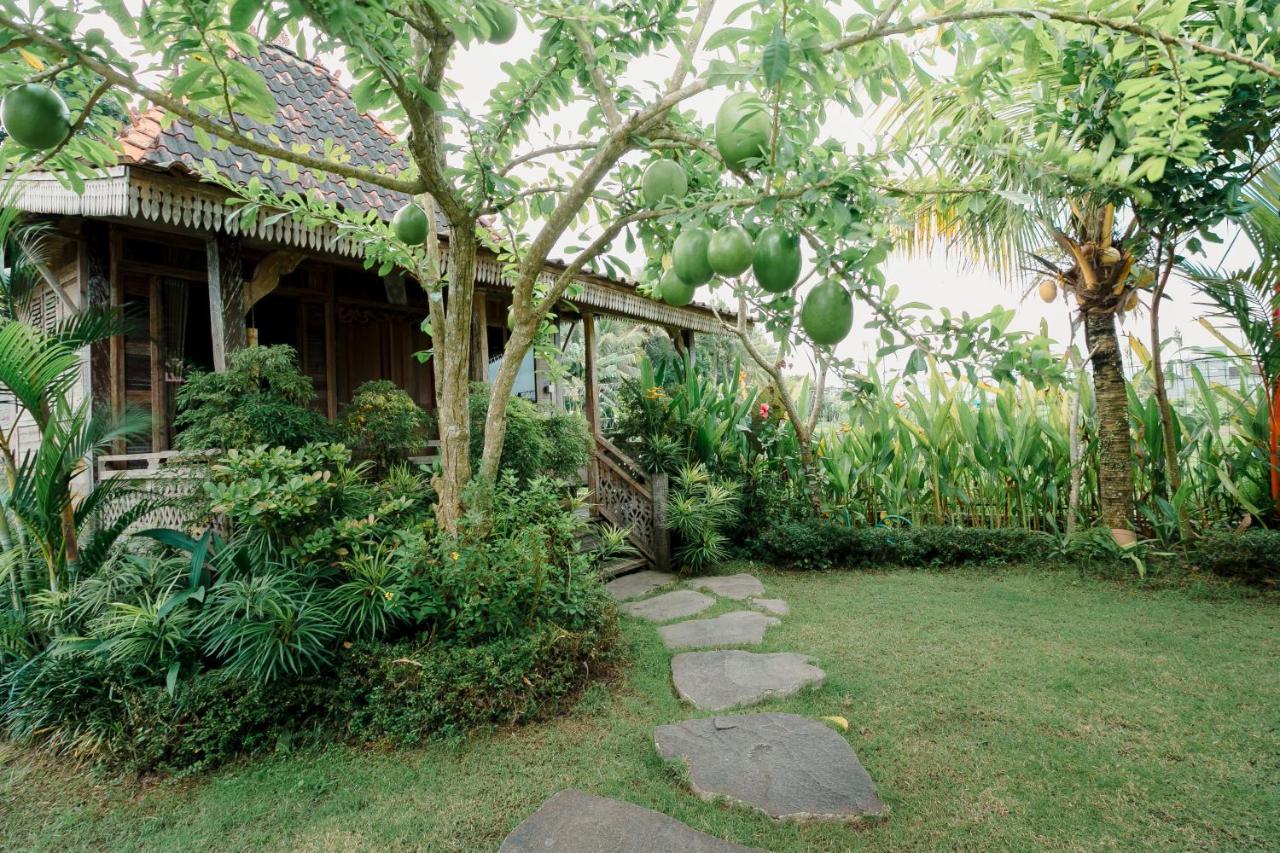 Nauna Villa Ubud Buitenkant foto