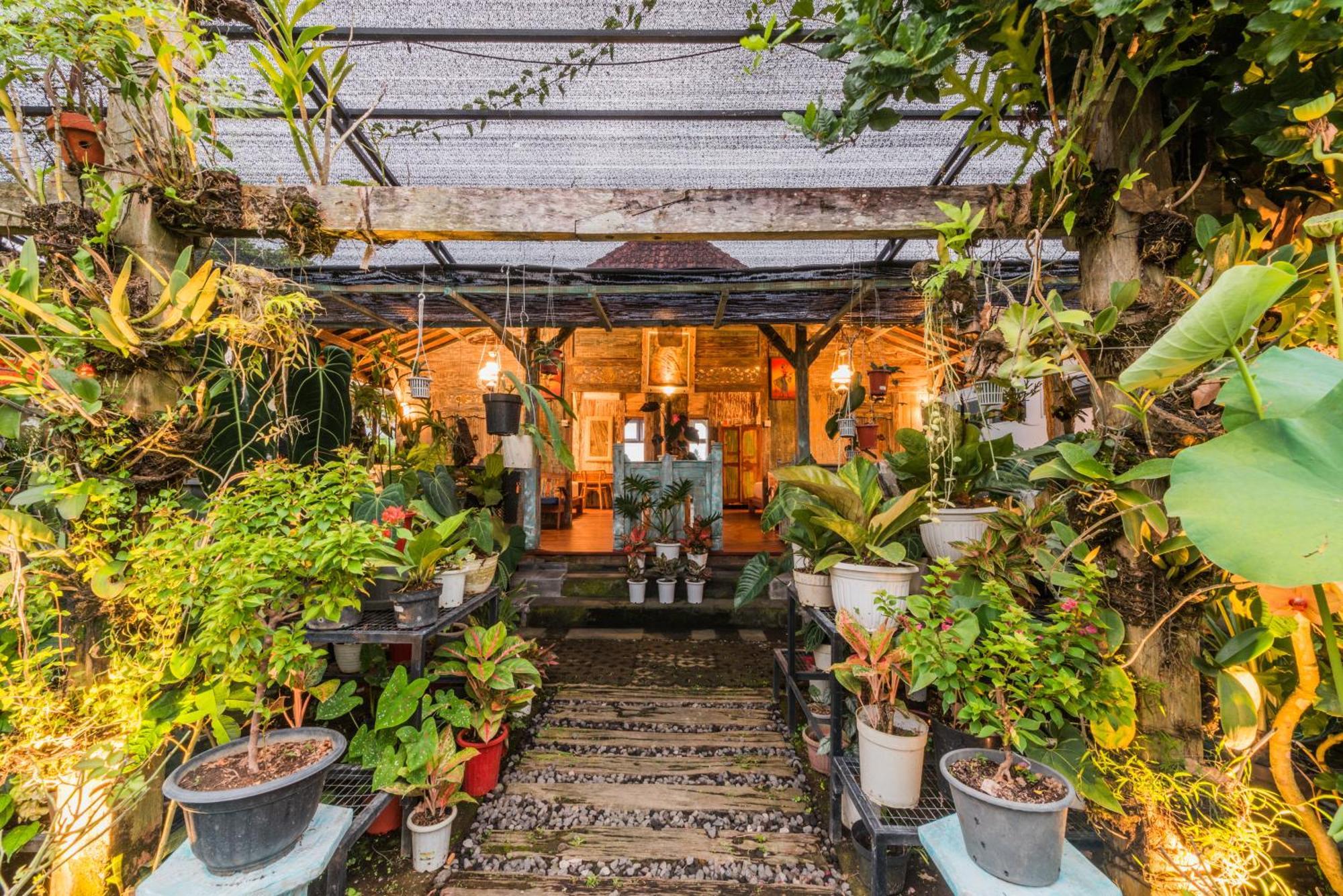 Nauna Villa Ubud Buitenkant foto